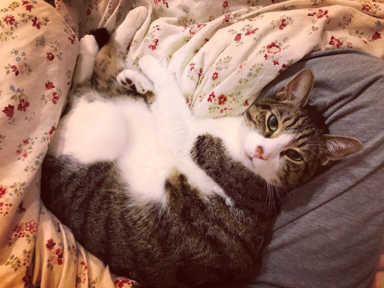 Hey it’s time to sleep again