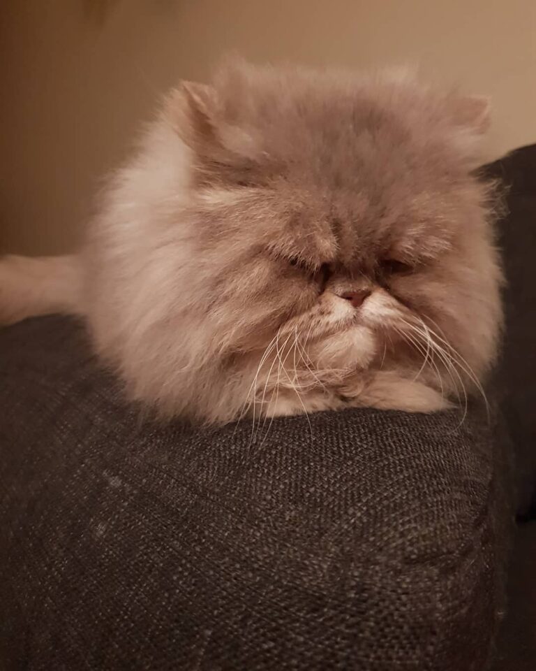 Hi guys, I’m back home