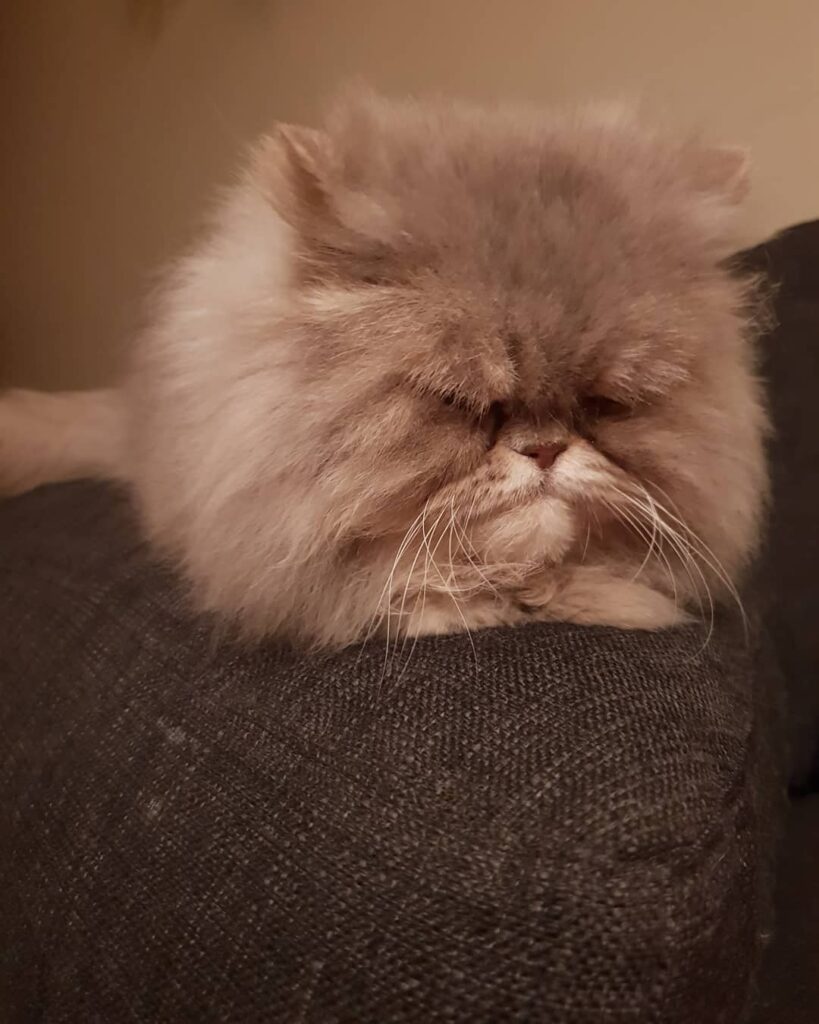 Hi guys, I’m back home