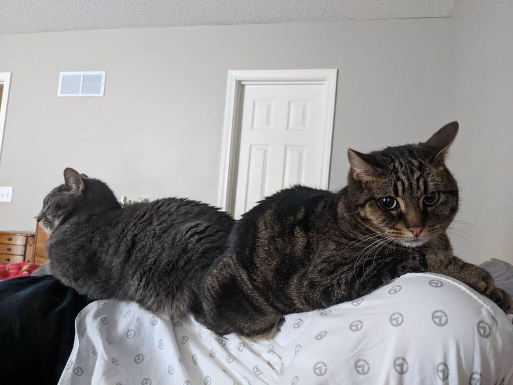 I can never move again