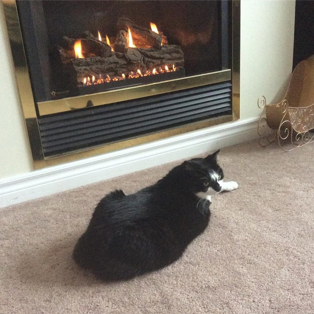 I love the warm fire • • I’m sorry guys, I will try to be more active