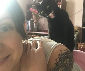 FunnyCatSite