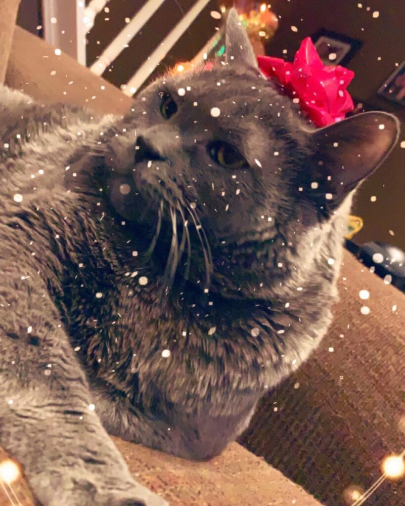 I’m a gift!