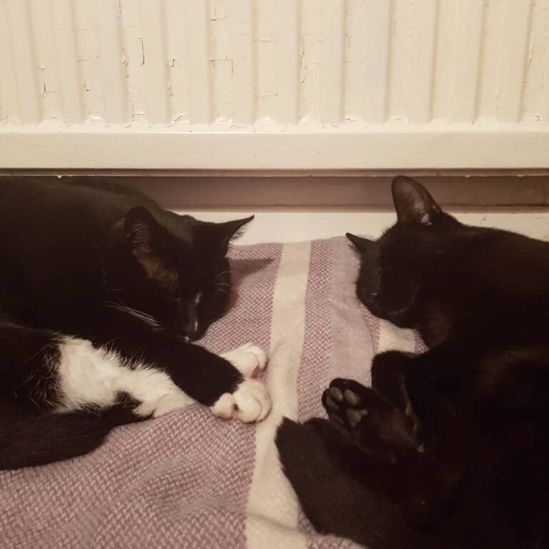 It might be freezing outside but I think the boys have figured out