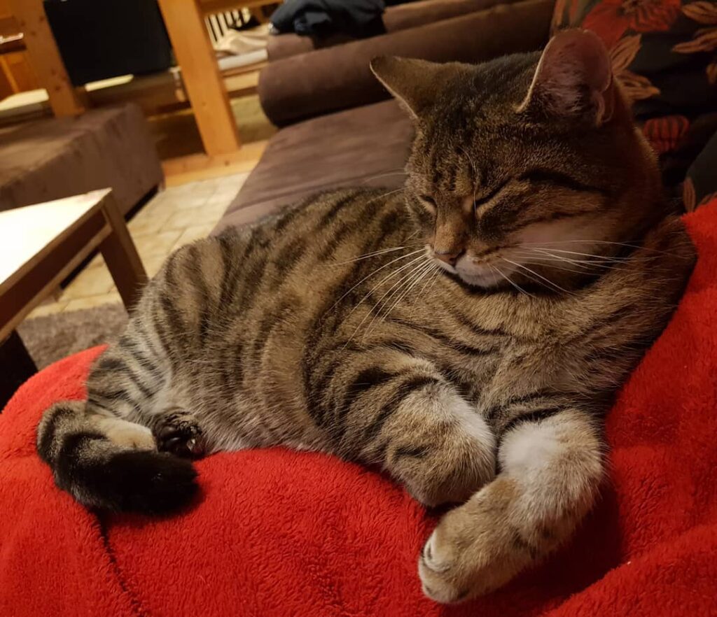 Kuschelzeit