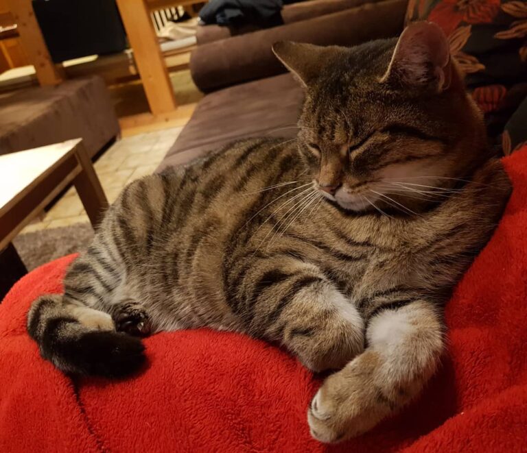 Kuschelzeit