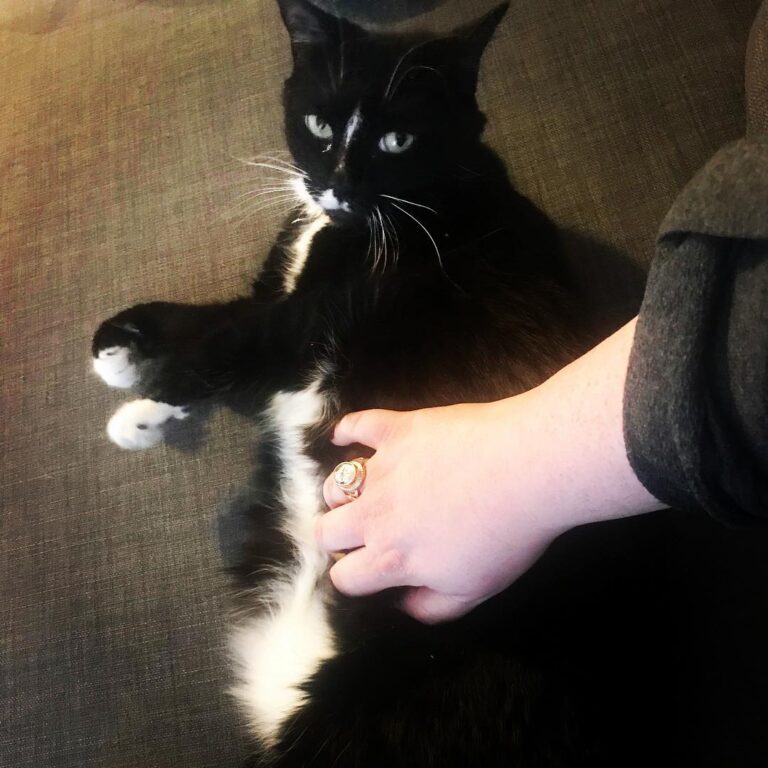 Lady the treats her as her devoted servant: she wants you to pet her