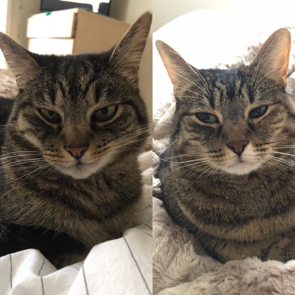 Lazy staring at mom. . . . .