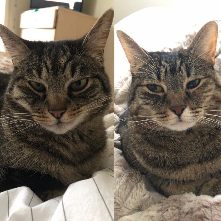 Lazy staring at mom. . . . .