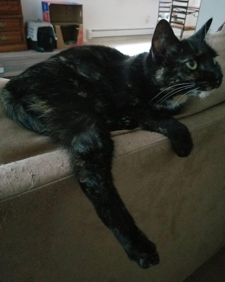 Leggy