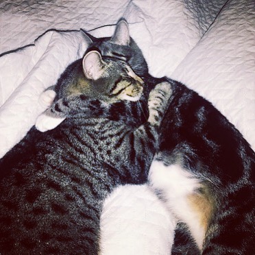 Let’s hug it out bro . . . . . . . .