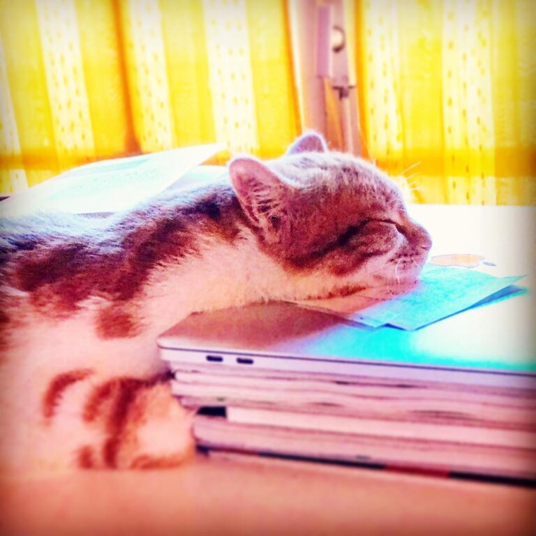 Lo so, è uno strano modo di dormire ma così fa il mio