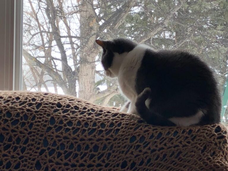 Look at how he that couch!