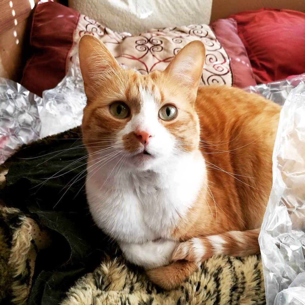 Lottieeeeee you’re precious!