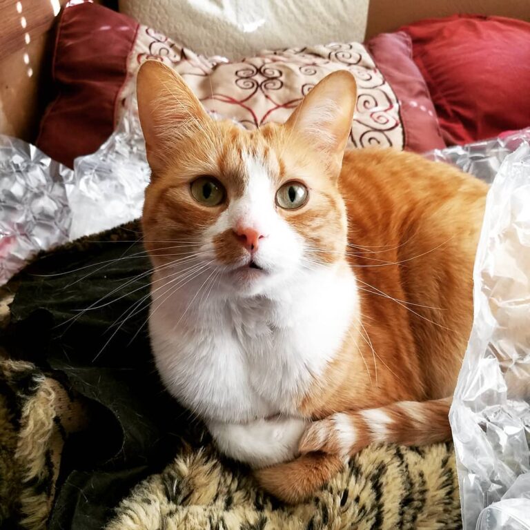Lottieeeeee you’re precious!