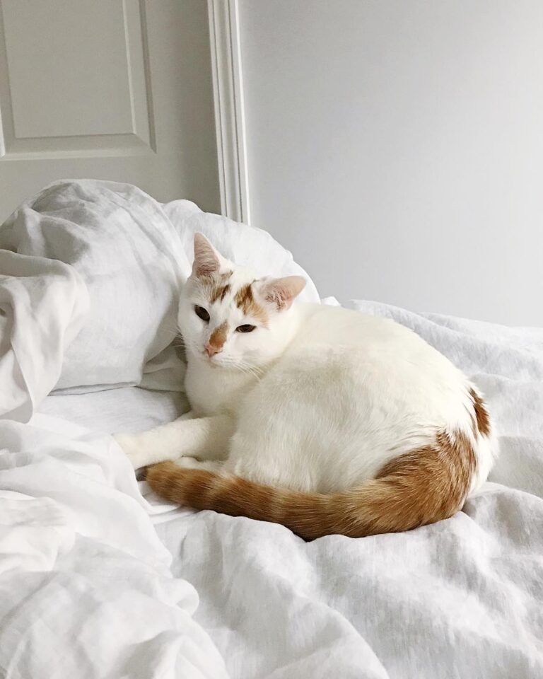 Marvin, weekending like a pro.