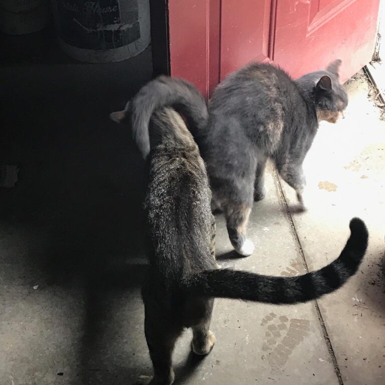 Mickey and Canelo happy to see each other