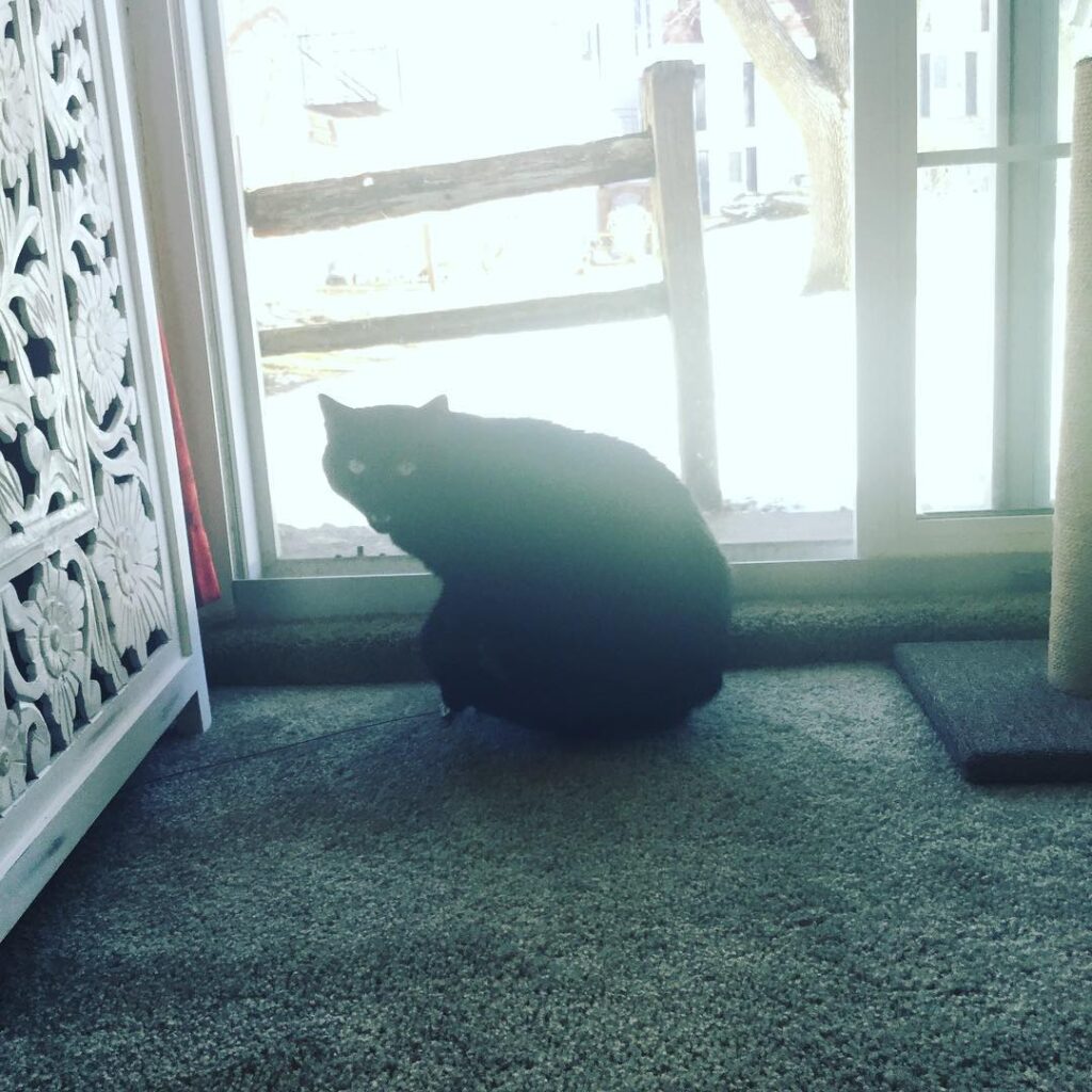 My Salem Moon being Mystic AF … LOL Not really, he’s pissed because