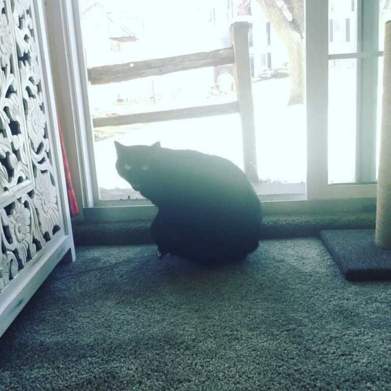 My Salem Moon being Mystic AF … LOL Not really, he’s pissed because