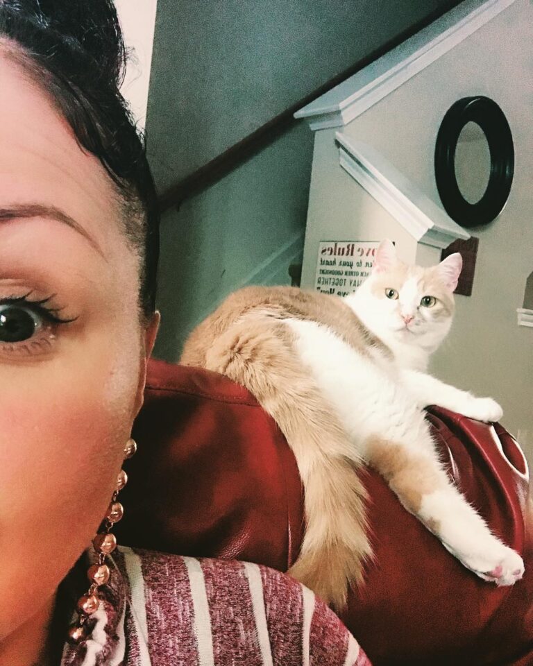 My human is so absurd