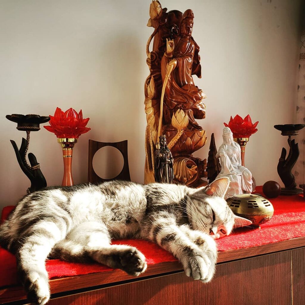 My little sun bum. She knows how to find peace. . . . . .