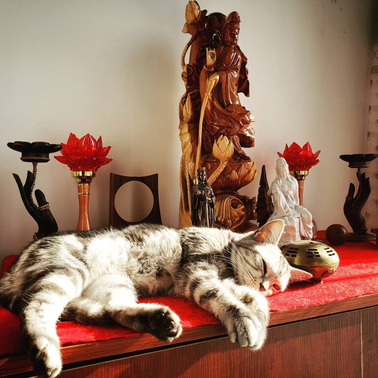My little sun bum. She knows how to find peace. . . . . .