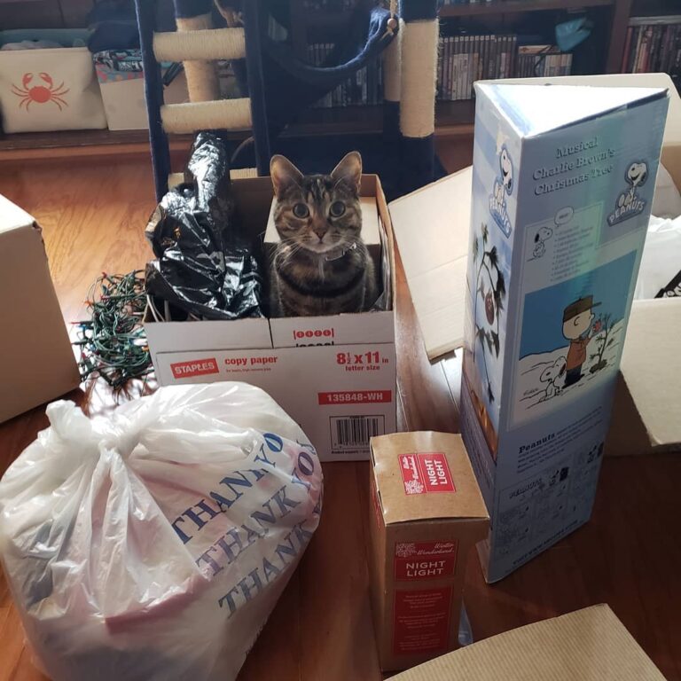 No you are not a and do not need to be put away lol