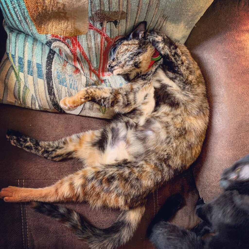 Not today mama, it’s and I’m back spread out and I’m out! got me like