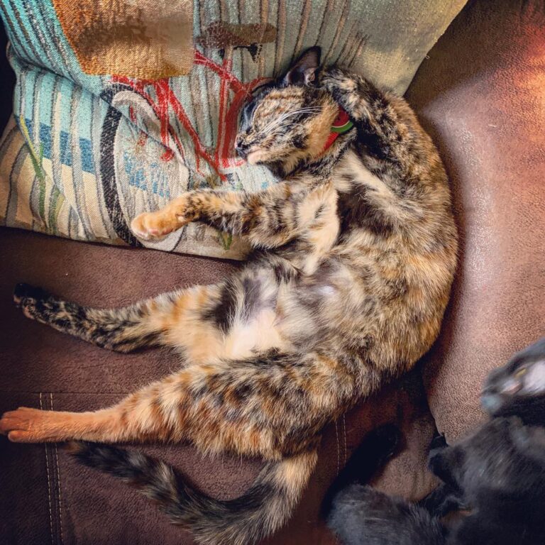 Not today mama, it’s and I’m back spread out and I’m out! got me like