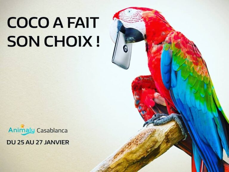 Nous souhaitons la bienvenue à au Salon Animaly ! Visiteurs et