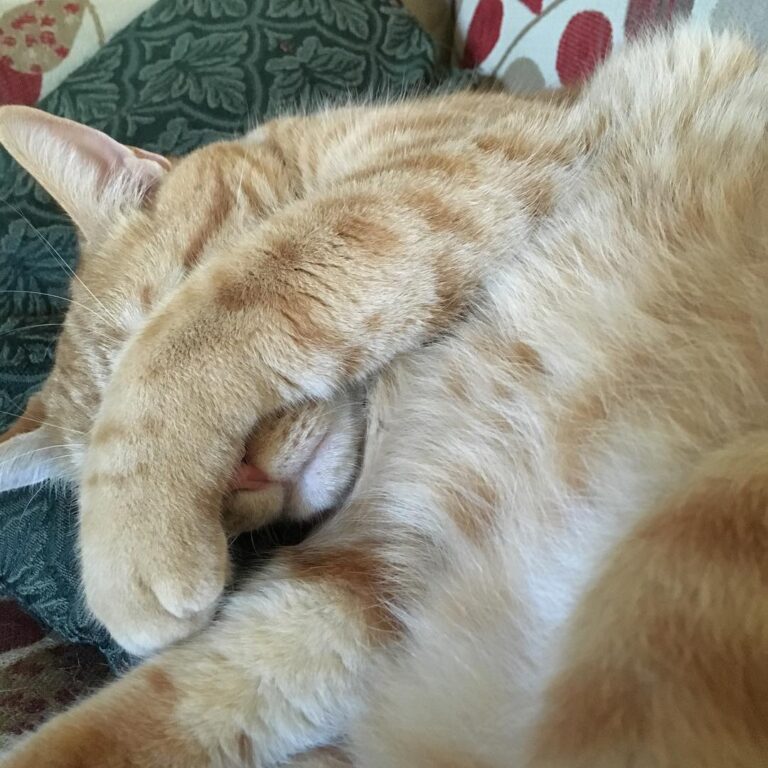 Please close the curtains. The light is too bright.
