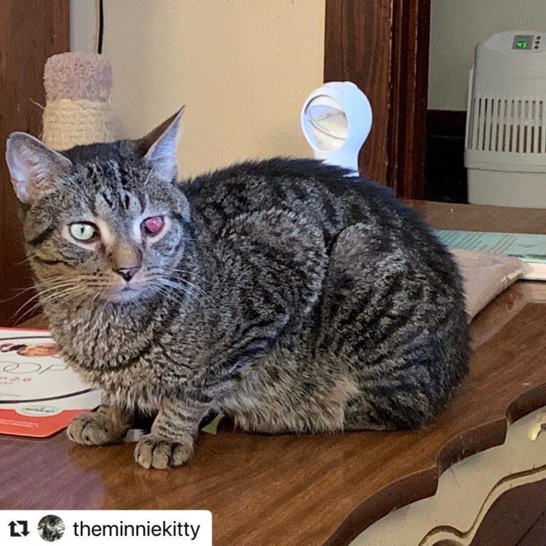 Please help, share and support our Pam and her Repost with ・・・