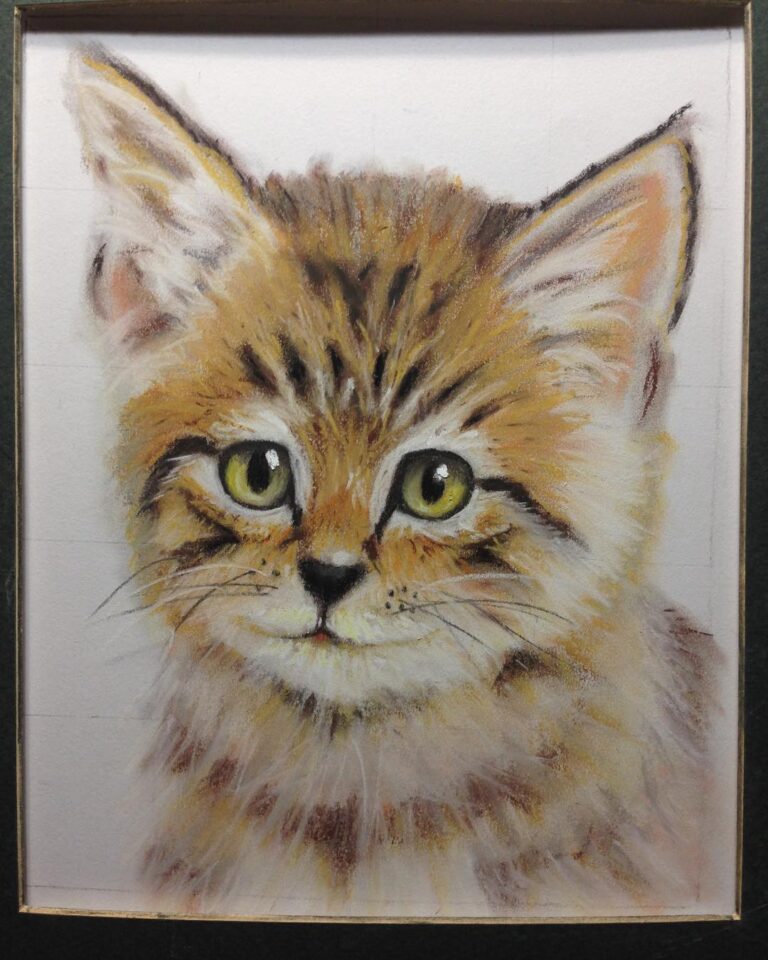 Quick sketch of a kitten in pastel from 2015