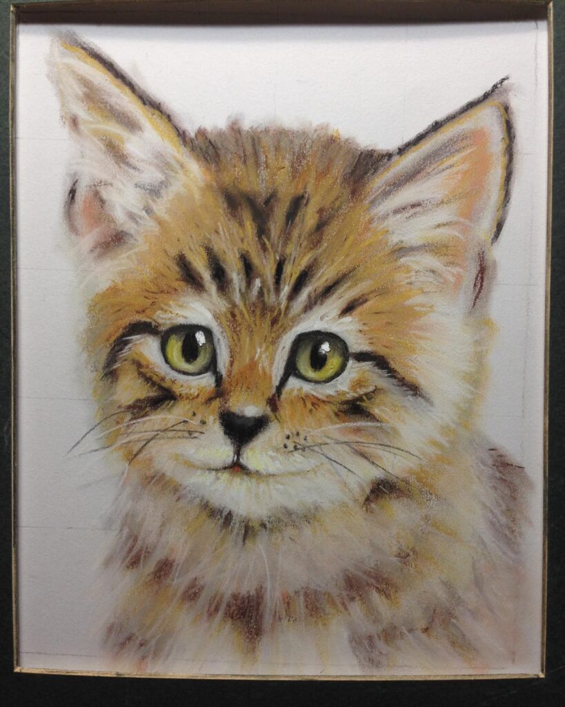 Quick sketch of a kitten in pastel from 2015