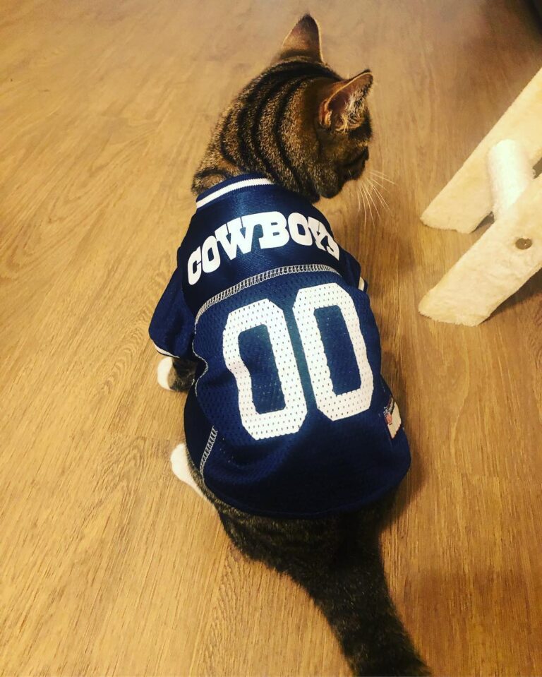 READY FOR GAME DAY!! . . . .