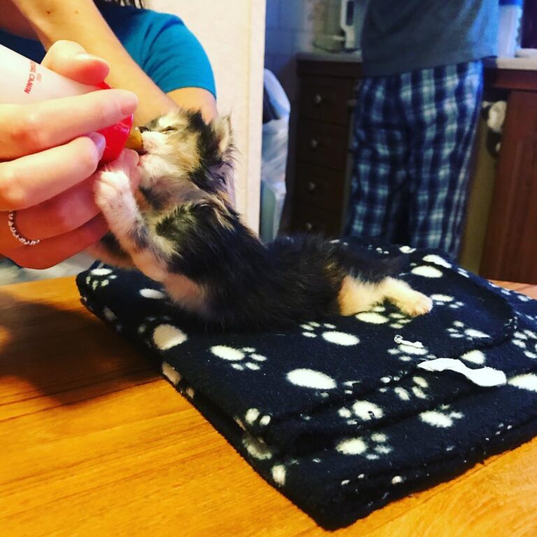 She fed in the weirdest positions