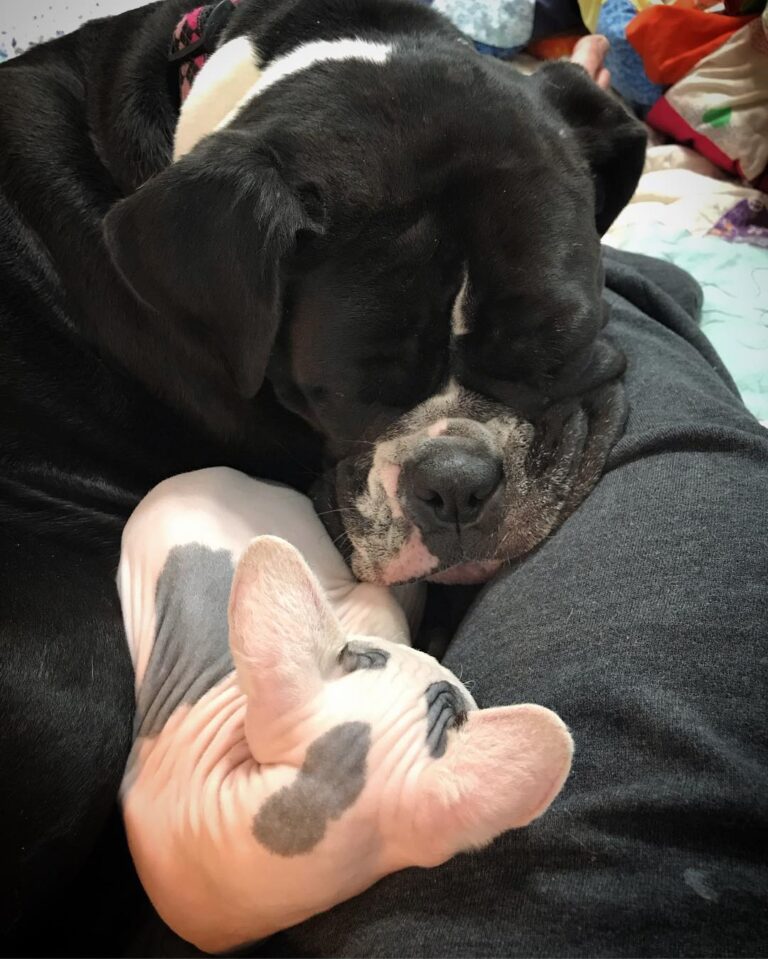 She loves her so much.