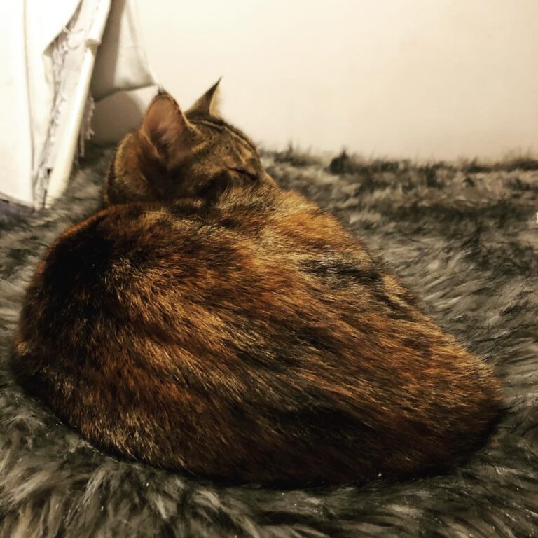 Sleeping Booty . . . . .