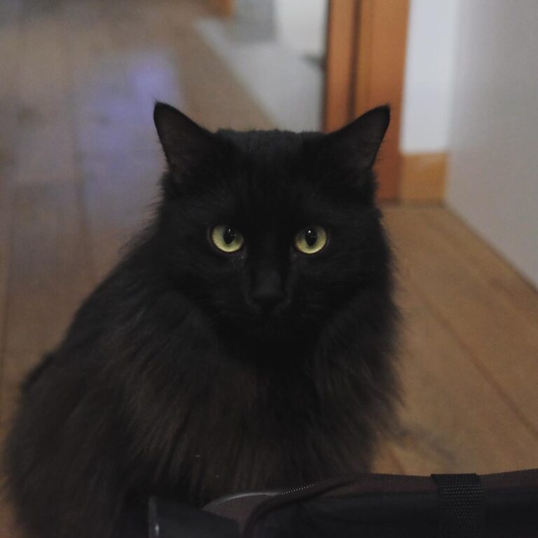 So where do you think you are going, human? . . .