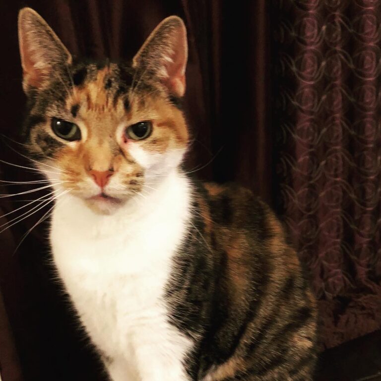 Someone is not very happy with me taking her picture!!!!