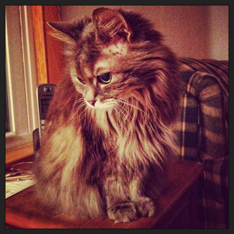 Sweet little Willow.