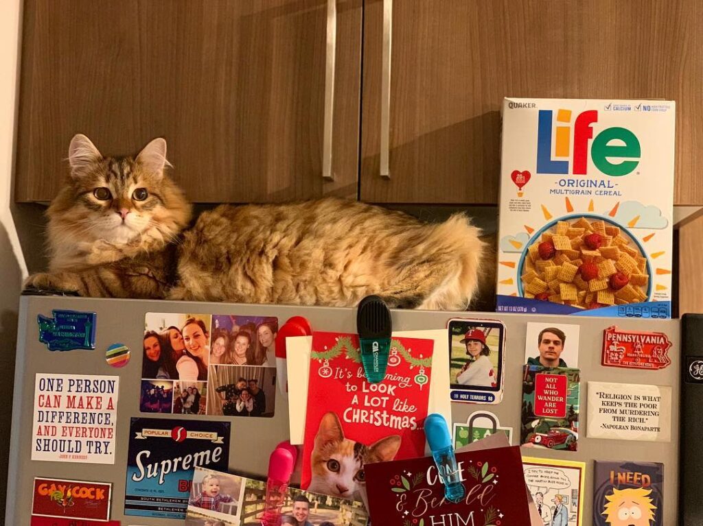 The Life of Len