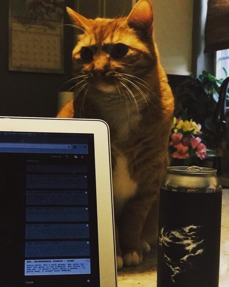 The Sentinel. AKA Archibald, the Destroyer of all Apple chargers.