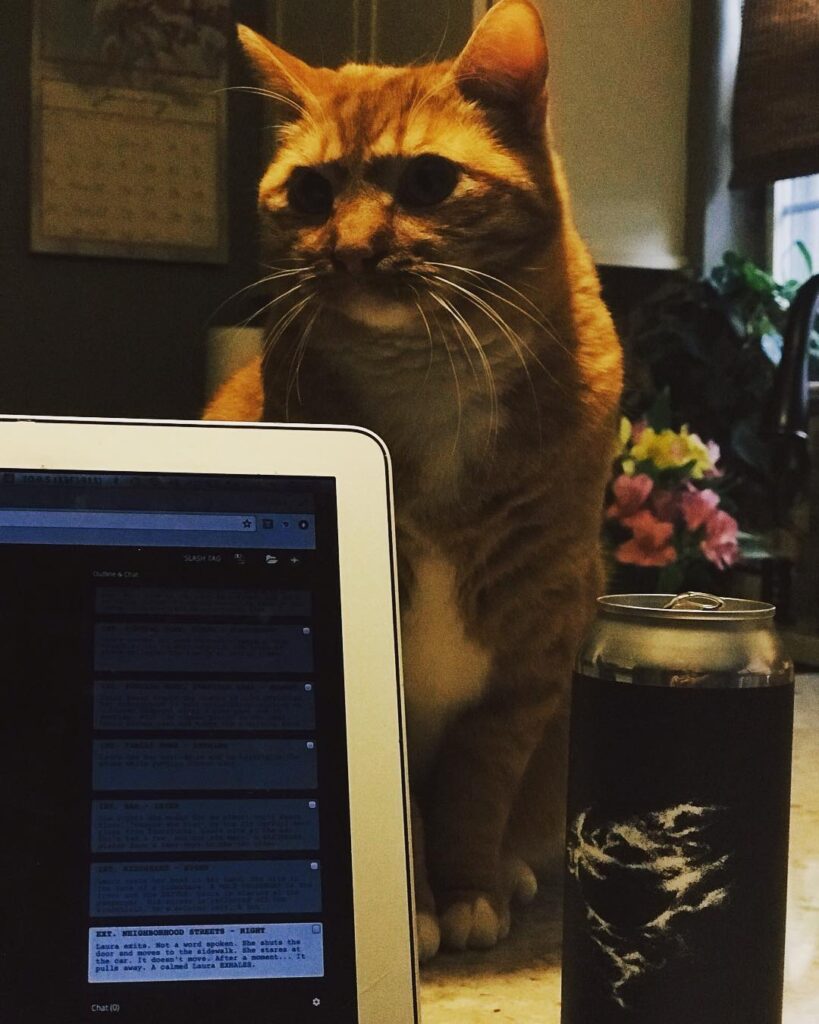 The Sentinel. AKA Archibald, the Destroyer of all Apple chargers.