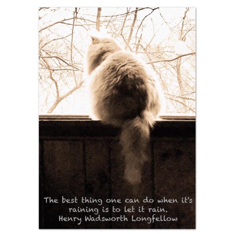 The best thing one can do when it’s raining is to let it rain.