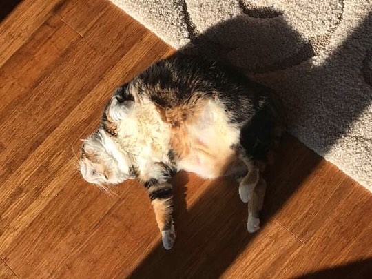 The sun is out!!!!! me