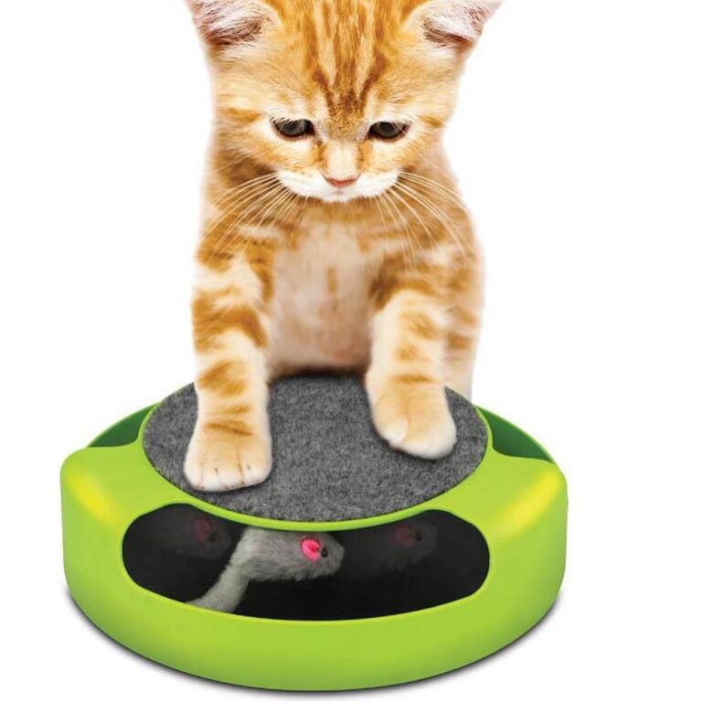 This feline frenzy cat toy has grooming and fun all in one. The mouse