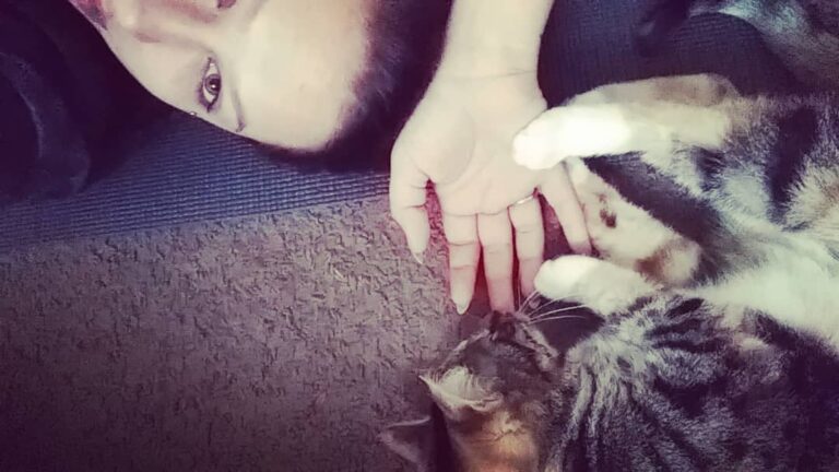 This morning, while I did yoga, the cats went crazy. Luna attacked my