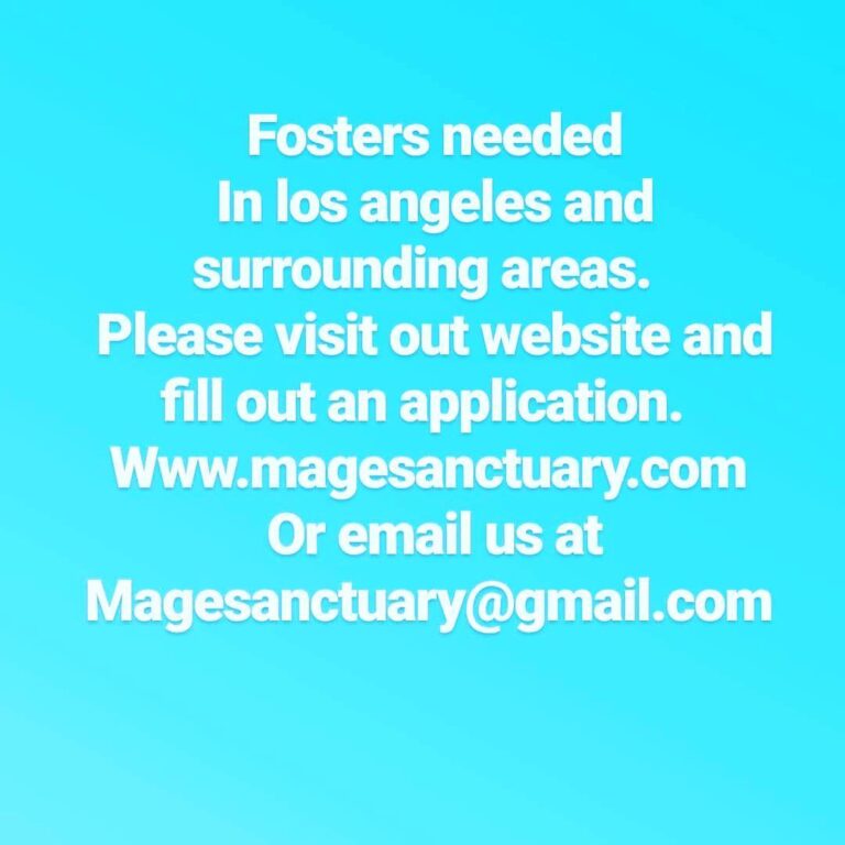 We need your help! ・・・ Fosters needed in and surrounding areas Please