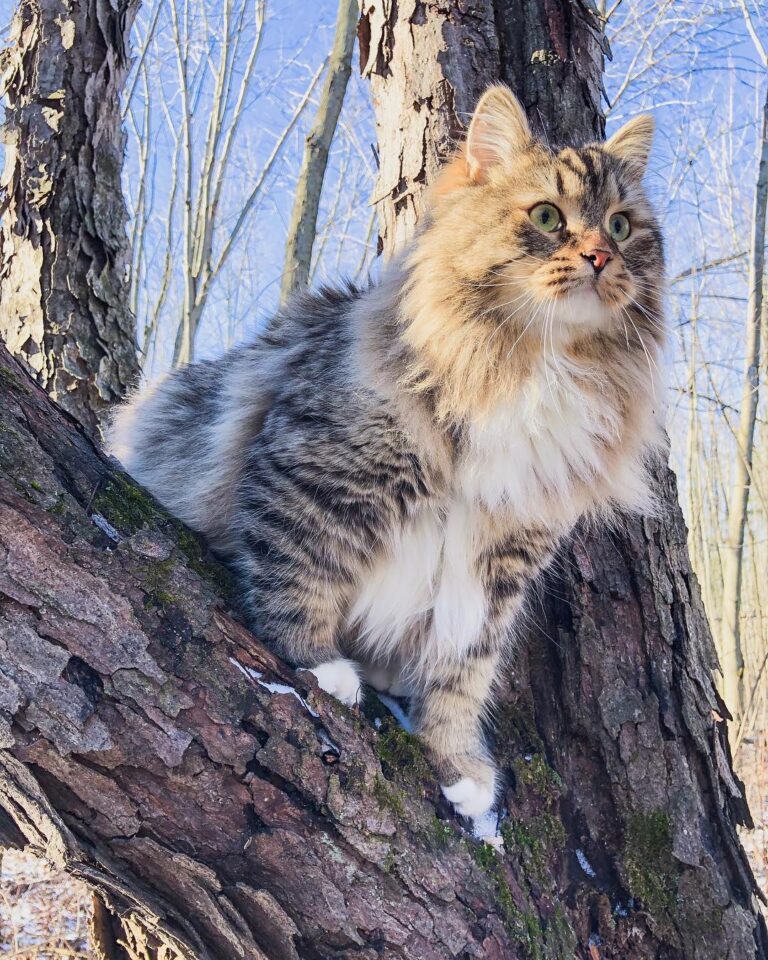 We’ve had great weather these past two days Being outdoors is so